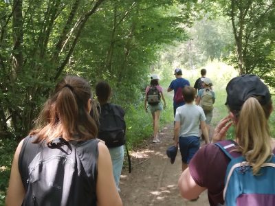 PEJ - AEMO Renforcée (1)