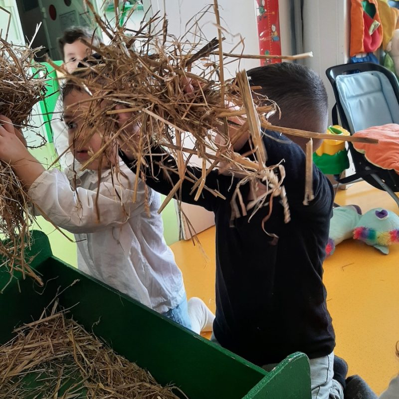 PPE_Principes_action 2