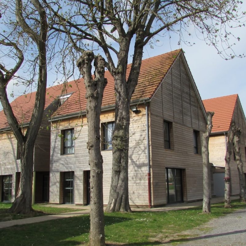 Photo Pole Education et Accompagnement notre ADN