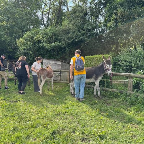 SAMSAH - photo nos missions au quotidien